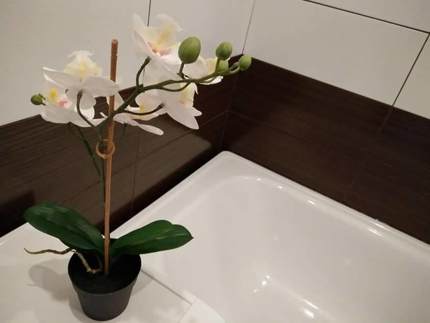 Luminous Apartment In ยูร์มาลา ภายนอก รูปภาพ